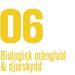 06 - Biologisk mångfald och djurskydd