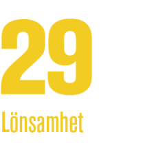 29 - Lönsamhet