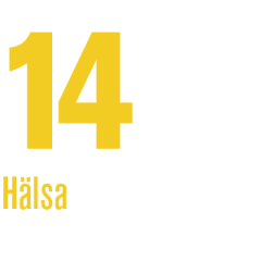 14 - Hälsa